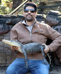 MI1506214 - 32yrs Hindu Sales & Marketing Professional Grooms & Boys Profile